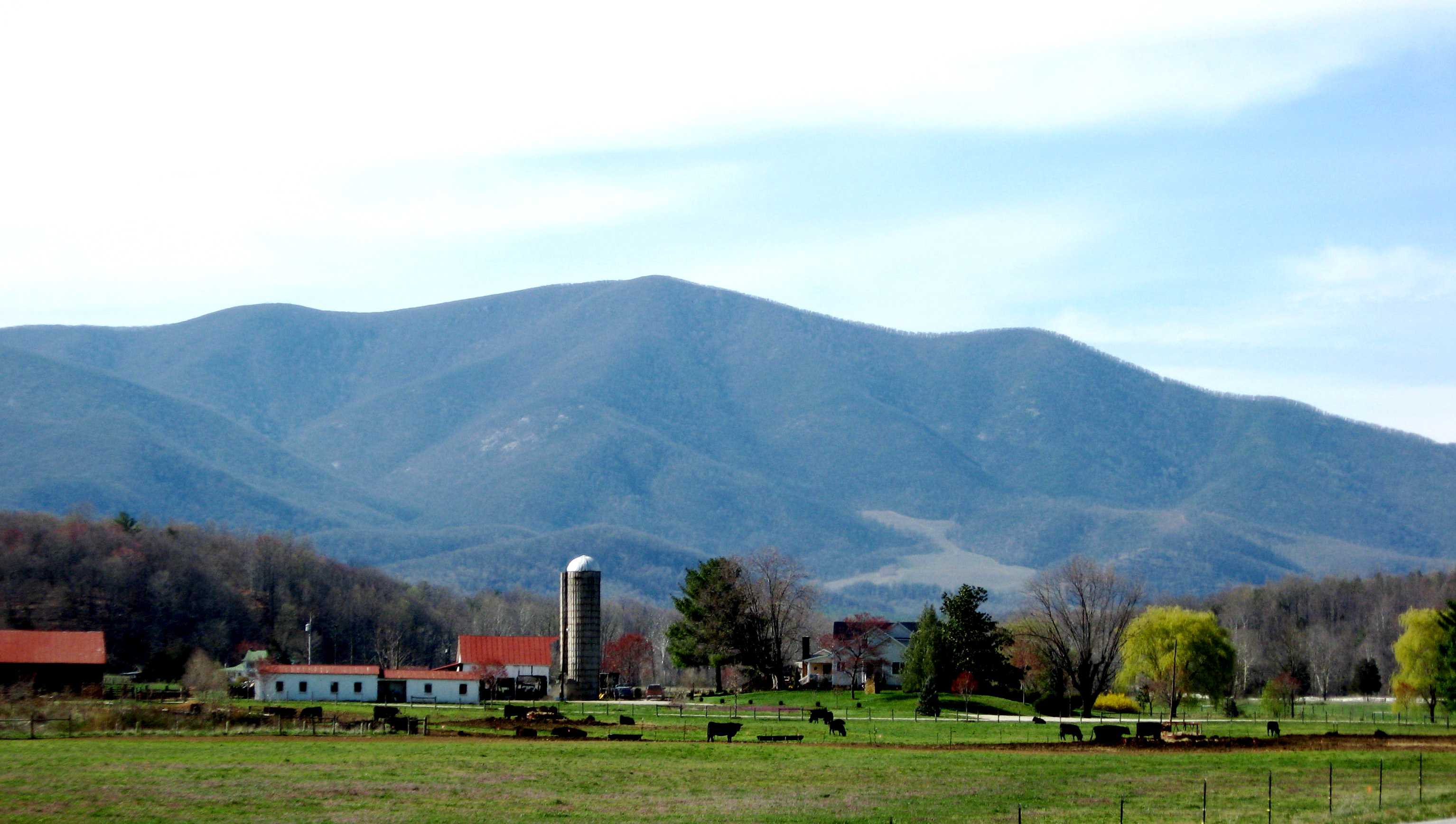 Virginia string music